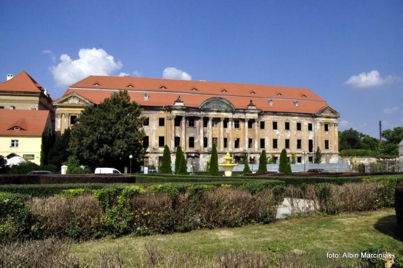 M.S. Piccolo Appartement Żary Buitenkant foto